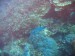 Potápění na Toggianech_3.jpg